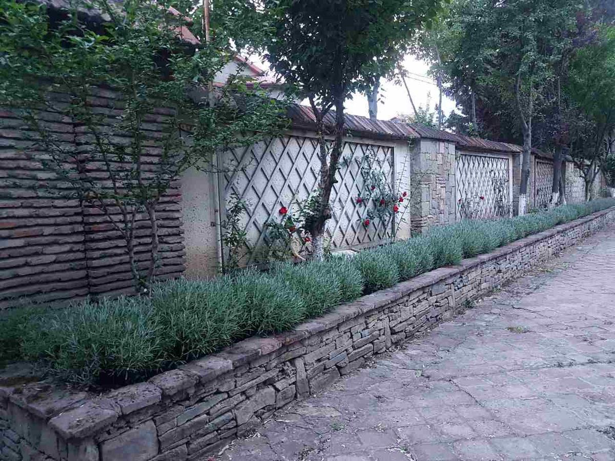 Вилла Rare House With Garden Тбилиси Экстерьер фото