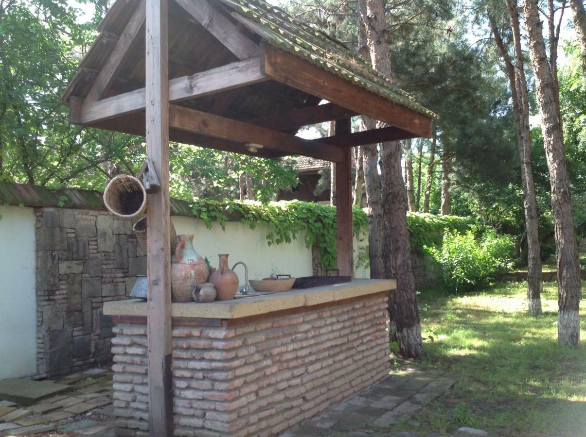 Вилла Rare House With Garden Тбилиси Экстерьер фото